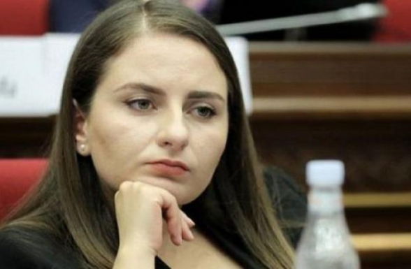 Արենի Մարկոսյանին 24 ժամ անց հայտնել են, որ նա անցանկալի անձ է և ստիպել են վերադառնալ Լիբանան